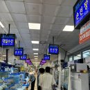 선장축구장 | [ 노량진 수산 시장 / 회센터 ] 손선장 내돈내산 후기 / 포장해서 전망 좋은집에서 야장