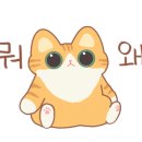 도매당약국 이미지