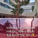 푸른솔나무병원 이미지