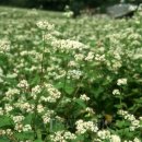 서상보건진료소 이미지