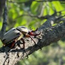 조종로50번길 이미지