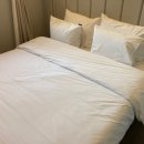 덴바스타호텔 이미지