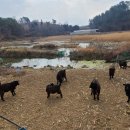 어둔목장 이미지