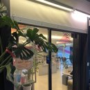 역미용실 박준뷰티랩 사당역점 헤어클리닉 잘하는 시우 디자이너 끊어지는 손상머릿결 관리 이수역헤어샵