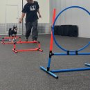 올 마스터 독 이미지