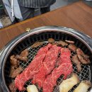 황금송아지 이미지