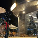 도기크루 | 안양 애견동반여행지 애견동반 여행지 총정리 및 추천 포인트 TOP 1