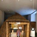 선사랑 놀자 이미지