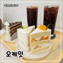 오케잇 | 조각케이크 전문 디저트카페! 다양한 조각케이크에 선택하기어려운,,,케이크맛집 충주 오케잇 내돈내산후기