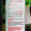 견애가 | 고양 일산 애견동반식당 견종차별 없는 견애가