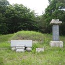 김흥근 선생 묘 이미지