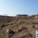 장안읍반룡리-90 이미지