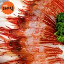 새우일 산소 이미지