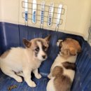 장지1길 이미지