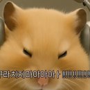 (주)아우성 이미지