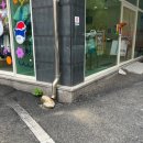 마석아동복