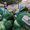 영채농장 이미지