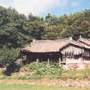 추원재 Daum카페