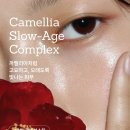 케어타임
