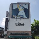 세이너스 이미지