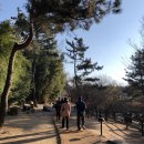 최영화빵