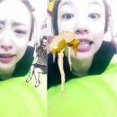 하니네 이미지