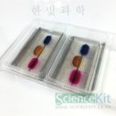 이동-4 이미지