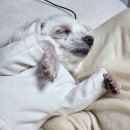 대전광역시 서구청 | [대전 서구청 혼인신고] 후기 혼인신고하는 법 혼인 신고서 양식Ι작성법Ι등록기준지Ι준비물Ι처리기간