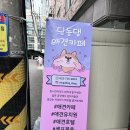 딩동댕 애견 카페 이미지