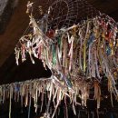 책과 함께 역사여행 이미지