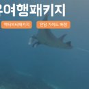 발리발리