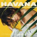 Havana ‥─≫ Camila Cabello (ft. Young Thug) 이미지