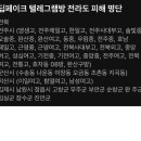 딥페이크 관련 '장농속 카메라' 까페의 대응 이미지