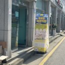 셀럽도기 이미지