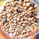 레인보우 캐슬 | 부산대 디저트 맛집 구슬아이스크림 그라미 메뉴 추천