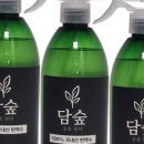 담숲