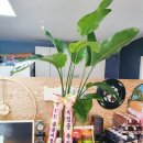 CU용봉지플레이스점 이미지