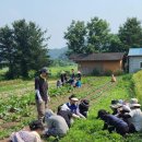 서울자유발도르프학교 이미지