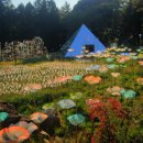 제주유리박물관 이미지