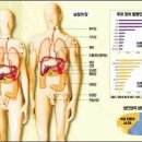 암을 손님처럼 대접하라 - 이병욱 박사 & 암 조기 자가진단 법 이미지