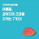 리멤버파크 이미지