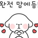 주식회사위시스부동산중개법인 이미지