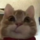 하루에 카페 이미지