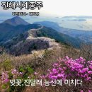 세븐일레븐 진해용원더원점 | 4월 벚꽃 진달래 진해시계종주,마진터널 시점 장복산 웅산 시루봉 천자봉 대발령까지