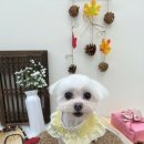 허그몽몽 이미지