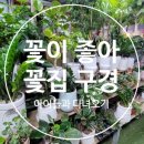 보라꽃화원 이미지