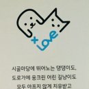 서창사랑동물병원 이미지