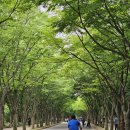 여행.사진아카데미 여행작가교실 인천대공원 핸드폰출사 240526 이미지