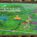 붉은오름자연휴양림2 이미지