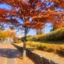 꽃사랑커피하우스